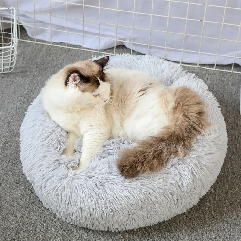 Repos Royal - Aumô